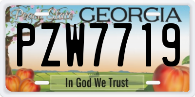 GA license plate PZW7719