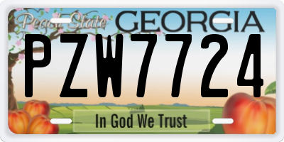 GA license plate PZW7724
