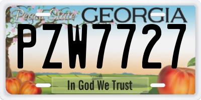 GA license plate PZW7727