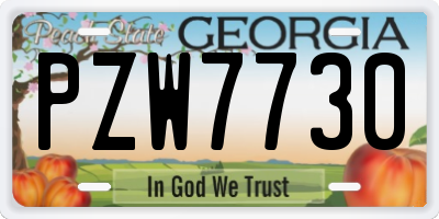 GA license plate PZW7730
