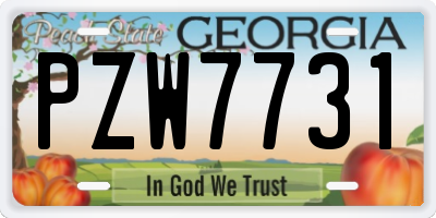 GA license plate PZW7731