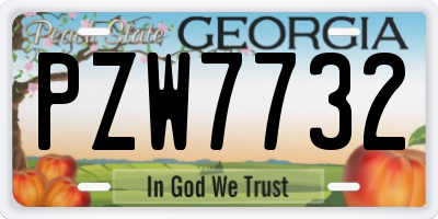 GA license plate PZW7732
