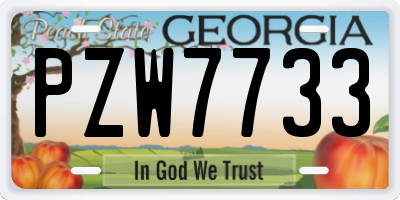 GA license plate PZW7733