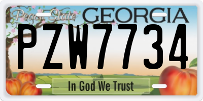 GA license plate PZW7734