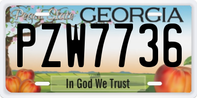 GA license plate PZW7736