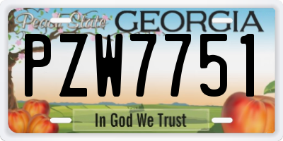 GA license plate PZW7751