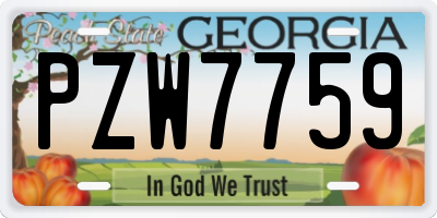 GA license plate PZW7759