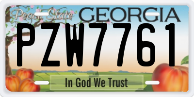GA license plate PZW7761