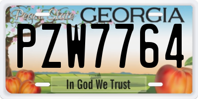 GA license plate PZW7764