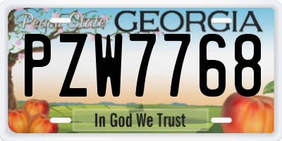 GA license plate PZW7768