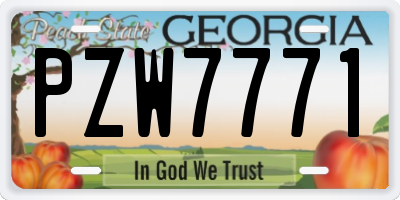 GA license plate PZW7771