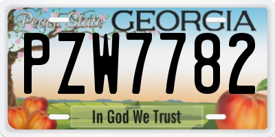 GA license plate PZW7782