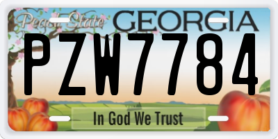 GA license plate PZW7784