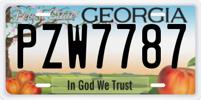 GA license plate PZW7787