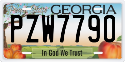 GA license plate PZW7790