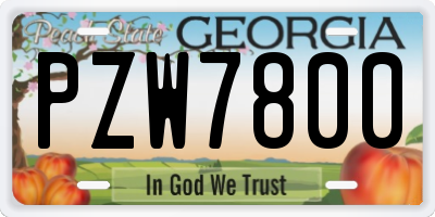 GA license plate PZW7800