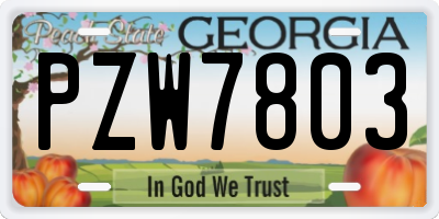 GA license plate PZW7803