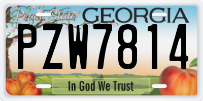 GA license plate PZW7814