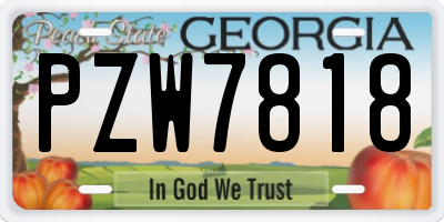 GA license plate PZW7818