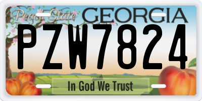 GA license plate PZW7824
