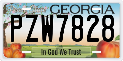 GA license plate PZW7828