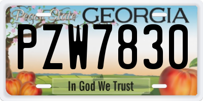 GA license plate PZW7830
