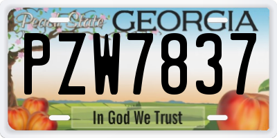 GA license plate PZW7837