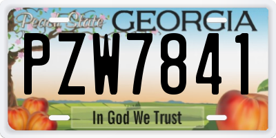 GA license plate PZW7841