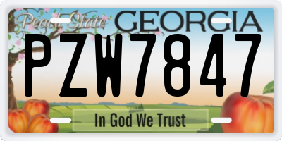 GA license plate PZW7847