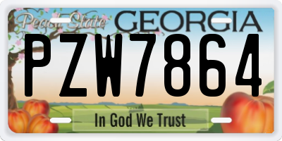 GA license plate PZW7864