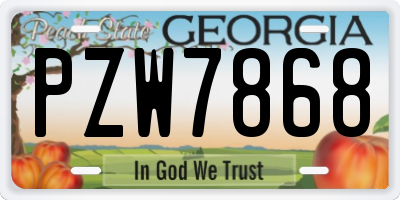 GA license plate PZW7868