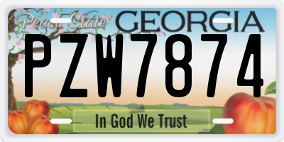 GA license plate PZW7874