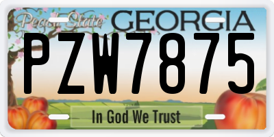 GA license plate PZW7875