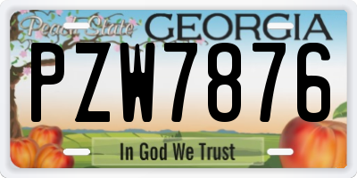 GA license plate PZW7876