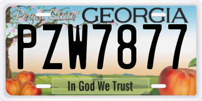 GA license plate PZW7877