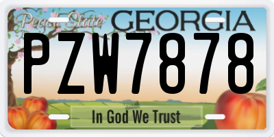 GA license plate PZW7878