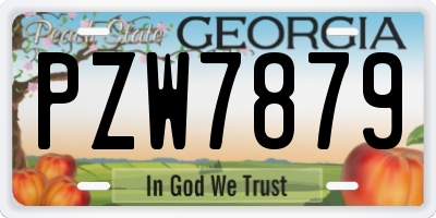GA license plate PZW7879