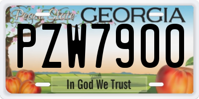 GA license plate PZW7900