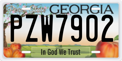 GA license plate PZW7902