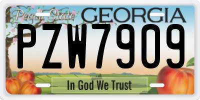 GA license plate PZW7909