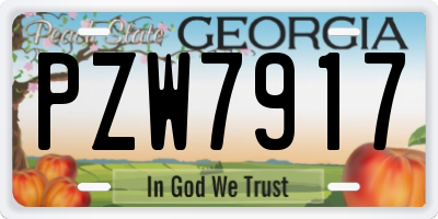 GA license plate PZW7917