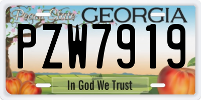 GA license plate PZW7919