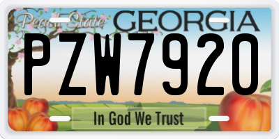 GA license plate PZW7920