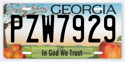 GA license plate PZW7929