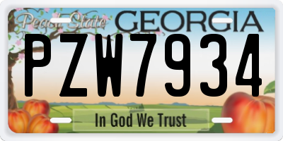 GA license plate PZW7934