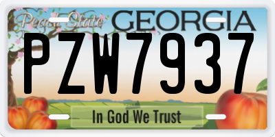 GA license plate PZW7937