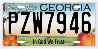 GA license plate PZW7946