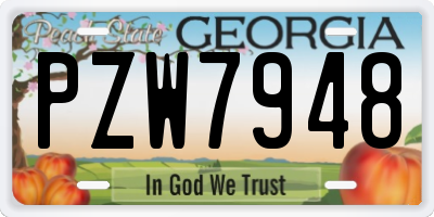 GA license plate PZW7948