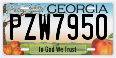 GA license plate PZW7950