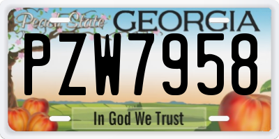 GA license plate PZW7958